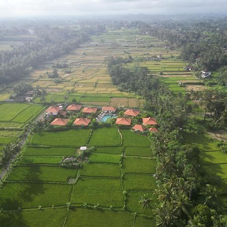 Kampung Uma Dawa Villas And Spa ウブド エクステリア 写真