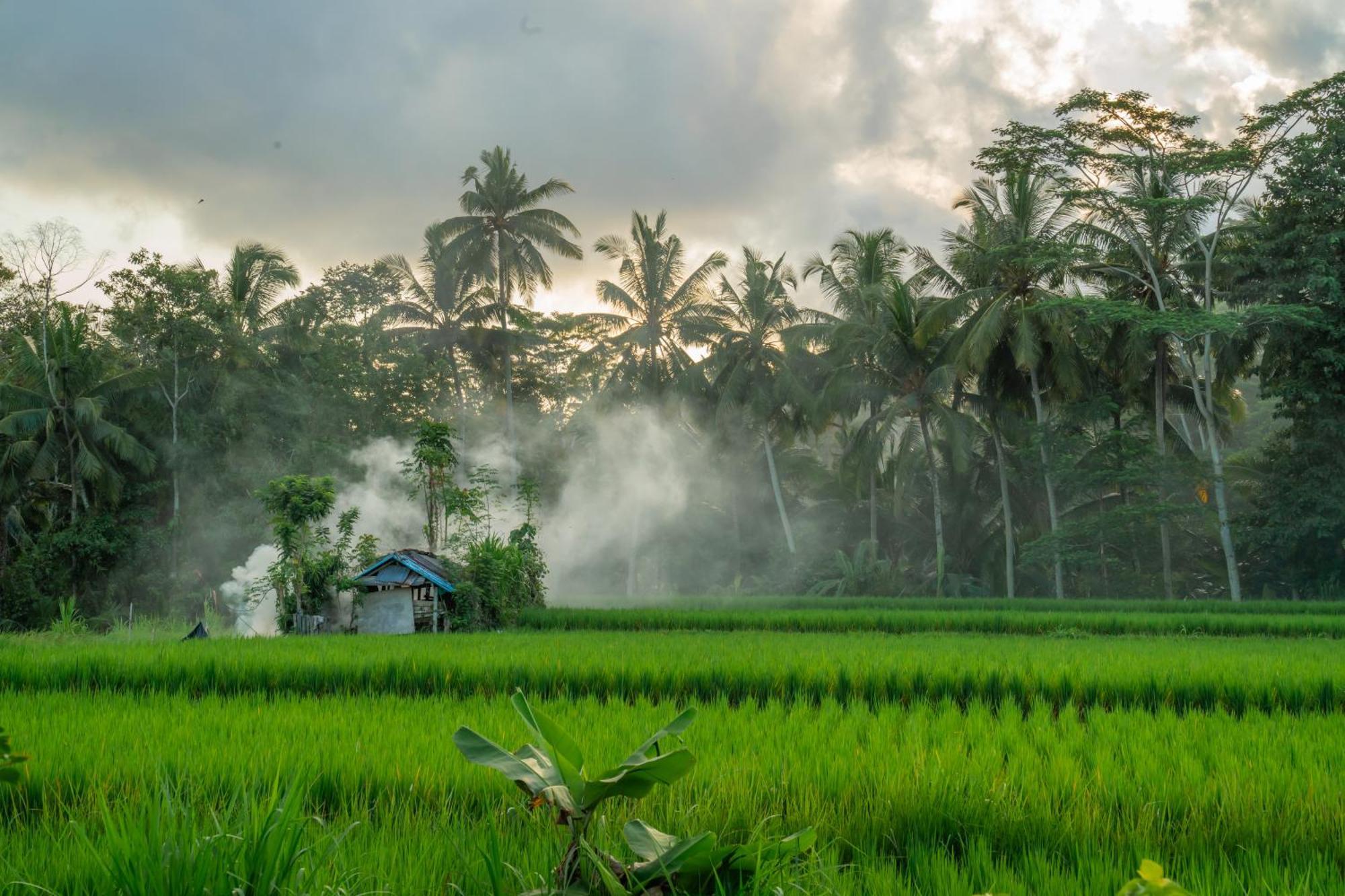 Kampung Uma Dawa Villas And Spa ウブド エクステリア 写真