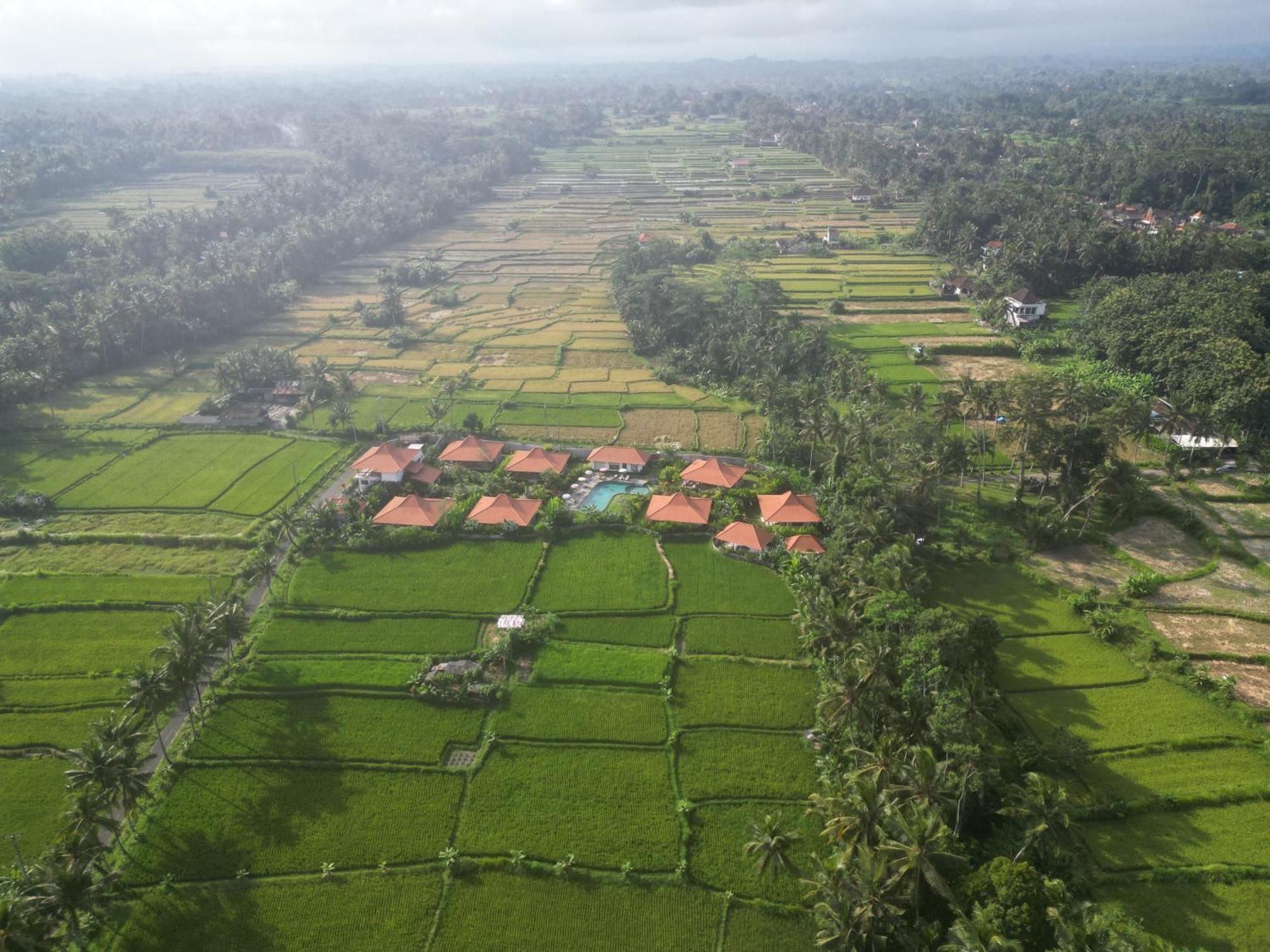Kampung Uma Dawa Villas And Spa ウブド エクステリア 写真