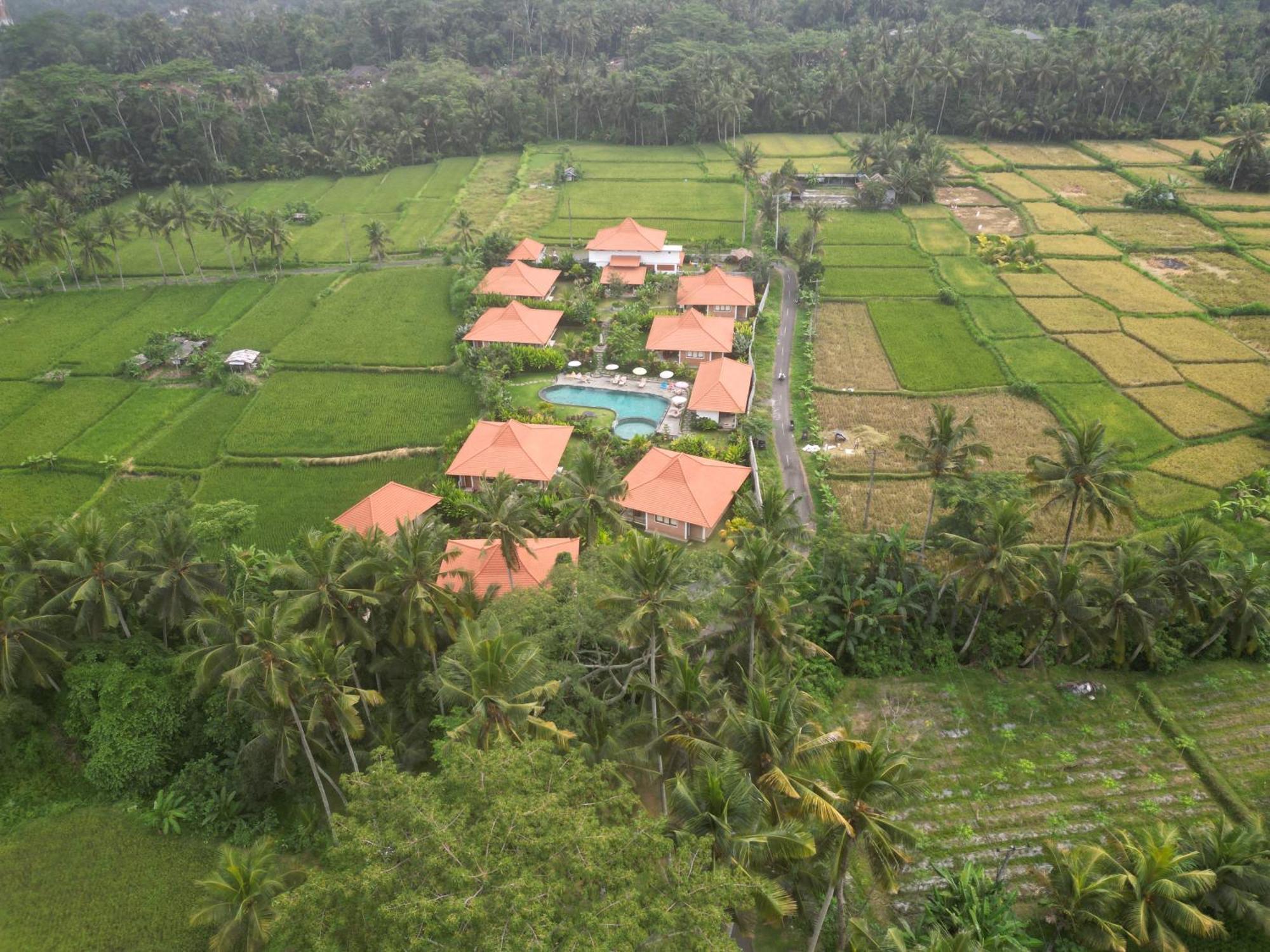 Kampung Uma Dawa Villas And Spa ウブド エクステリア 写真